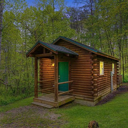 Blue Rose Cabins - Cozy Cabin Лоґан Екстер'єр фото